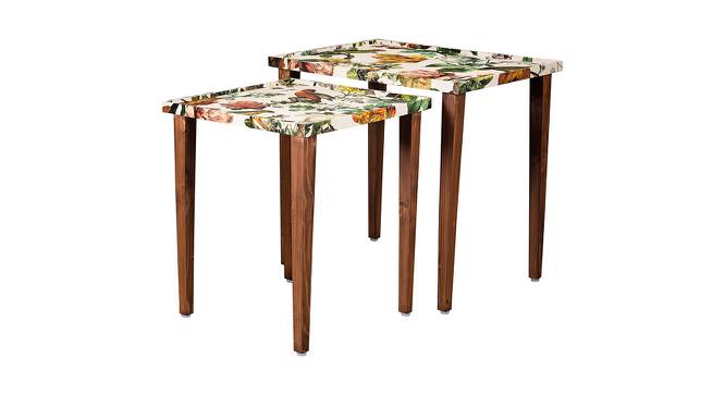 Plushwilderness Solid Wood Rectangular Nested End Table in Paper Finish - Set of 2 (Multicolor, PU Paper Finish) by Urban Ladder - Front View Design 1 - 526630