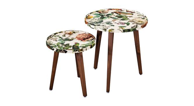 Plushwilderness Solid Wood Round Nested End Table in Paper Finish - Set of 2 (Multicolor, PU Paper Finish) by Urban Ladder - Front View Design 1 - 526631