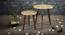 Allure Solid Wood Rectangle Nested End Table in Paper Finish - Set of 2 (PU Paper Finish, Golden) by Urban Ladder - Design 1 Side View - 526635