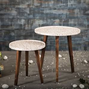 Chaandi Solid Wood Side Table in Multicolor Finish-image-25
