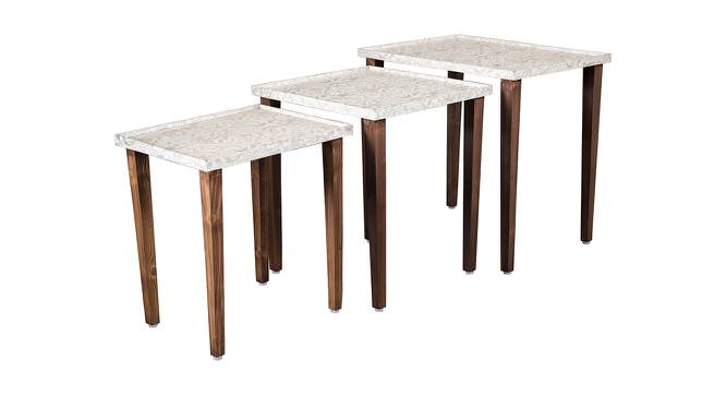 Chantilly Solid Wood Nested End Table in Paper Finish - Set of 3 (White, PU Paper Finish) by Urban Ladder - Cross View Design 1 - 526676