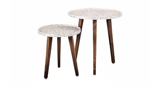 Chaandi Solid Wood Round Nested End Table in Paper Finish - Set of 2 (Multicolor, PU Paper Finish) by Urban Ladder - Cross View Design 1 - 526677