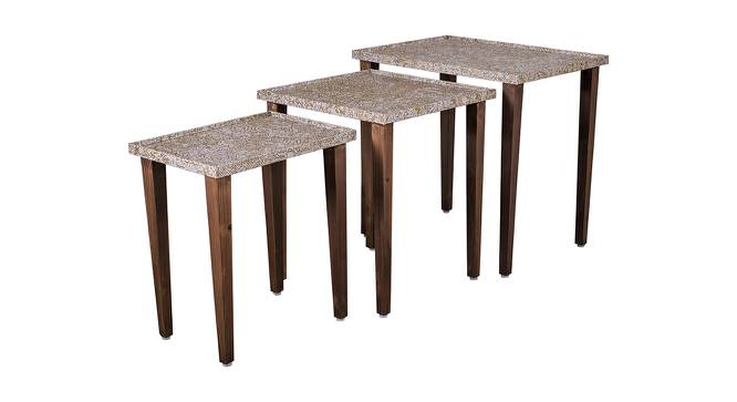 Honeycomb Solid Wood Nested End Table in Paper Finish - Set of 3 (Multicolor, PU Paper Finish) by Urban Ladder - Cross View Design 1 - 526678