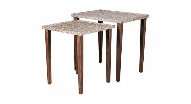 Honeycomb Solid Wood Nested End Table in Paper Finish - Set of 2 (Multicolor, PU Paper Finish) by Urban Ladder - Cross View Design 1 - 526679