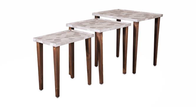 Allure Solid Wood Nested End Table in Paper Finish - Set of 3 (Multicolor, PU Paper Finish) by Urban Ladder - Cross View Design 1 - 526680