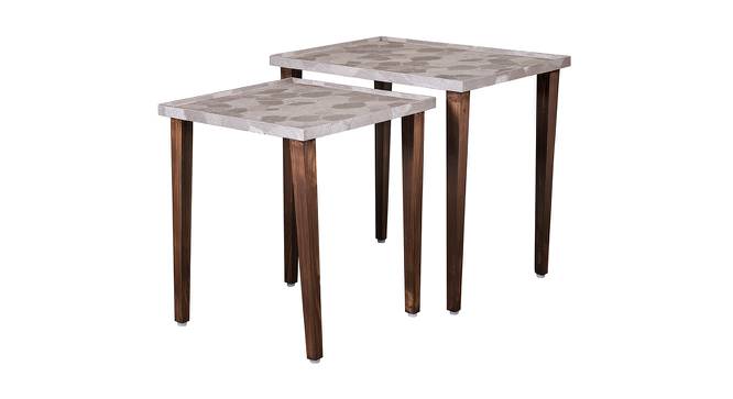 Allure Solid Wood Nested End Table in Paper Finish - Set of 2 (Multicolor, PU Paper Finish) by Urban Ladder - Cross View Design 1 - 526681