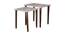 Allure Solid Wood Nested End Table in Paper Finish - Set of 2 (Multicolor, PU Paper Finish) by Urban Ladder - Cross View Design 1 - 526681