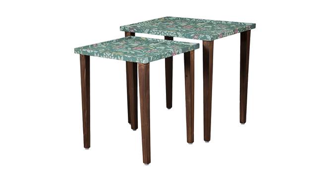 Heritageazure Solid Wood Rectangular Nested End Table in Paper Finish - Set of 2 (Multicolor, PU Paper Finish) by Urban Ladder - Cross View Design 1 - 526683