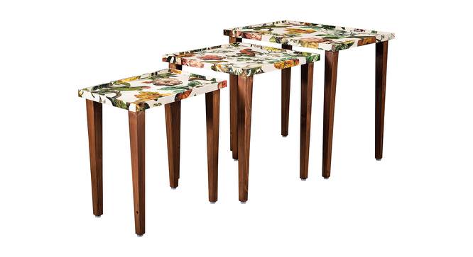 Plushwilderness Solid Wood Nested End Table in Paper Finish - Set of 3 (Multicolor, PU Paper Finish) by Urban Ladder - Cross View Design 1 - 526685