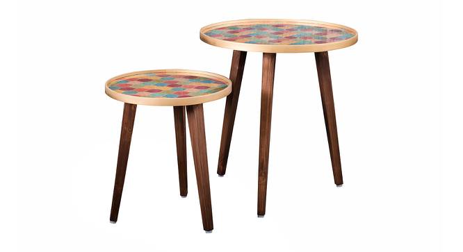 Multisequins Solid Wood Nested End Table in Paper Finish - Set of 2 (Multicolor, PU Paper Finish) by Urban Ladder - Cross View Design 1 - 526686