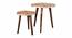 Multisequins Solid Wood Nested End Table in Paper Finish - Set of 2 (Multicolor, PU Paper Finish) by Urban Ladder - Cross View Design 1 - 526686