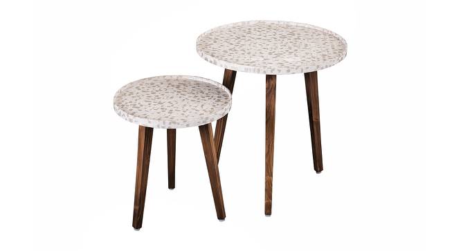 Chaandi Solid Wood Round Nested End Table in Paper Finish - Set of 2 (Multicolor, PU Paper Finish) by Urban Ladder - Front View Design 1 - 526689