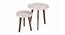Chaandi Solid Wood Round Nested End Table in Paper Finish - Set of 2 (Multicolor, PU Paper Finish) by Urban Ladder - Front View Design 1 - 526689