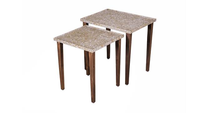 Honeycomb Solid Wood Nested End Table in Paper Finish - Set of 2 (Multicolor, PU Paper Finish) by Urban Ladder - Front View Design 1 - 526691