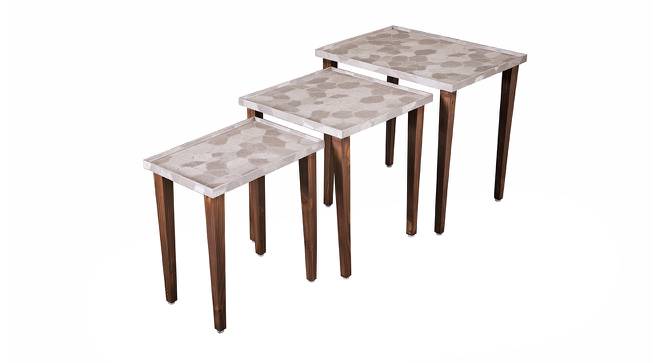 Allure Solid Wood Nested End Table in Paper Finish - Set of 3 (Multicolor, PU Paper Finish) by Urban Ladder - Front View Design 1 - 526692