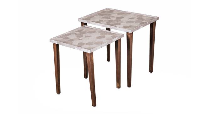 Allure Solid Wood Nested End Table in Paper Finish - Set of 2 (Multicolor, PU Paper Finish) by Urban Ladder - Front View Design 1 - 526693
