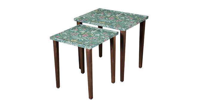 Heritageazure Solid Wood Rectangular Nested End Table in Paper Finish - Set of 2 (Multicolor, PU Paper Finish) by Urban Ladder - Front View Design 1 - 526695