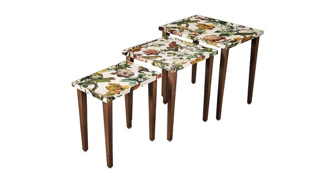 Plushwilderness Solid Wood Nested End Table in Paper Finish - Set of 3 (Multicolor, PU Paper Finish) by Urban Ladder - Front View Design 1 - 526697
