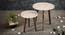 Chaandi Solid Wood Round Nested End Table in Paper Finish - Set of 2 (Multicolor, PU Paper Finish) by Urban Ladder - Design 1 Side View - 526701