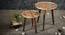 Multisequins Solid Wood Nested End Table in Paper Finish - Set of 2 (Multicolor, PU Paper Finish) by Urban Ladder - Design 1 Side View - 526709