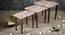 Allure Solid Wood Nested End Table in Paper Finish - Set of 3 (Multicolor, PU Paper Finish) by Urban Ladder - Rear View Design 1 - 526715