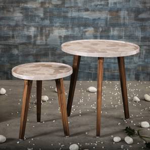 Boston Solid Wood Side Table in Multicolor Finish-image-15