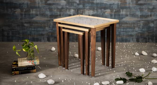 Seagull Solid Wood Nested End Table - Set of 3 (White) by Urban Ladder - Cross View Design 1 - 526745