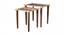 Peach Floral Motifs Solid Wood Nested End Table - Set of 2 (Pink) by Urban Ladder - Cross View Design 1 - 526747