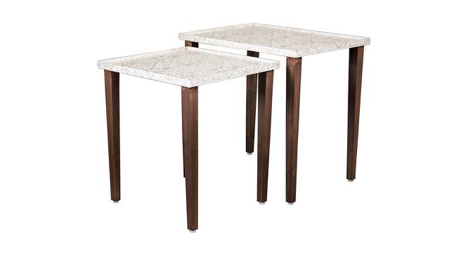 Chantilly Solid Wood Nested End Table in Paper Finish - Set of 2 (White, PU Paper Finish) by Urban Ladder - Cross View Design 1 - 526748