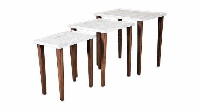 Leherein Solid Wood Nested End Table in Paper Finish - Set of 3 (White, PU Paper Finish) by Urban Ladder - Cross View Design 1 - 526749