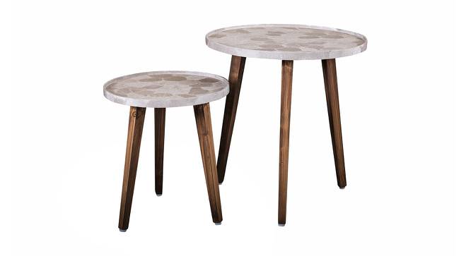 Boston Solid Wood Round Nested End Table in Paper Finish - Set of 2 (Multicolor, PU Paper Finish) by Urban Ladder - Cross View Design 1 - 526752