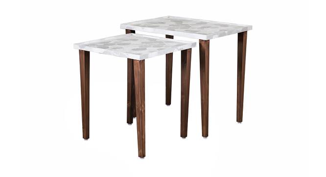 Ryleigh Solid Wood Nested End Table in Paper Finish - Set of 2 (Silver, PU Paper Finish) by Urban Ladder - Cross View Design 1 - 526753