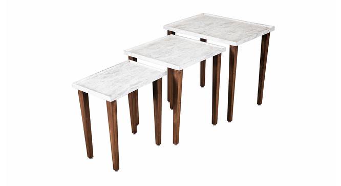Leherein Solid Wood Nested End Table in Paper Finish - Set of 3 (White, PU Paper Finish) by Urban Ladder - Front View Design 1 - 526764