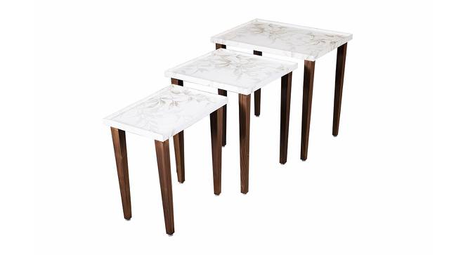 Tehni Solid Wood Nested End Table in Paper Finish - Set of 3 (White, PU Paper Finish) by Urban Ladder - Front View Design 1 - 526766