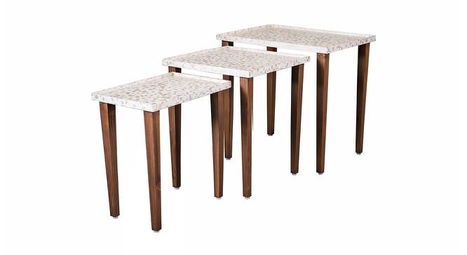 Chaandi Solid Wood Nested End Table in Paper Finish - Set of 3 (Multicolor, PU Paper Finish) by Urban Ladder - Cross View Design 1 - 526767
