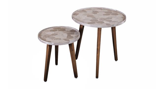 Boston Solid Wood Round Nested End Table in Paper Finish - Set of 2 (Multicolor, PU Paper Finish) by Urban Ladder - Front View Design 1 - 526768