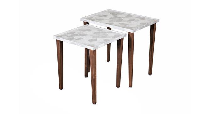 Ryleigh Solid Wood Nested End Table in Paper Finish - Set of 2 (Silver, PU Paper Finish) by Urban Ladder - Front View Design 1 - 526769