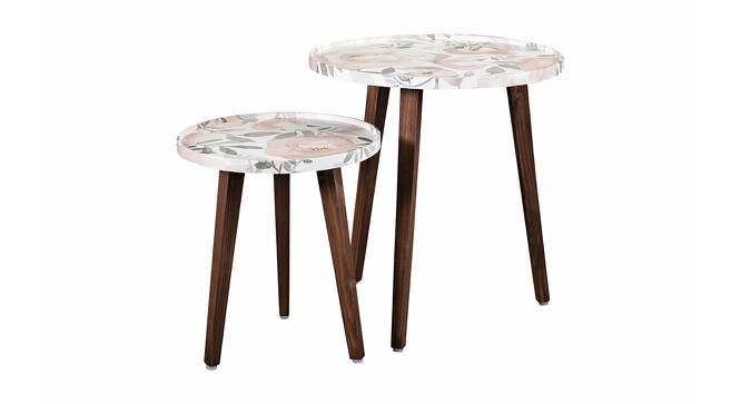 Blossom Solid Wood Round Nested End Table in Paper Finish - Set of 2 (Pink, PU Paper Finish) by Urban Ladder - Cross View Design 1 - 526770