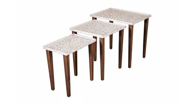 Chaandi Solid Wood Nested End Table in Paper Finish - Set of 3 (Multicolor, PU Paper Finish) by Urban Ladder - Front View Design 1 - 526773