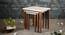 Chaandi Solid Wood Nested End Table in Paper Finish - Set of 3 (Multicolor, PU Paper Finish) by Urban Ladder - Design 1 Side View - 526779