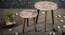 Boston Solid Wood Round Nested End Table in Paper Finish - Set of 2 (Multicolor, PU Paper Finish) by Urban Ladder - Design 1 Side View - 526785