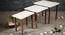 Leherein Solid Wood Nested End Table in Paper Finish - Set of 3 (White, PU Paper Finish) by Urban Ladder - Rear View Design 1 - 526798