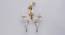 Collier Off White Metal Wall Light (Off White) by Urban Ladder - Design 1 Full View - 527943