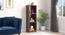 Darcia Engineered Wood Bookshelf in Rustik Walnut Finish (Laminate Finish) by Urban Ladder - Design 1 Full View - 528580