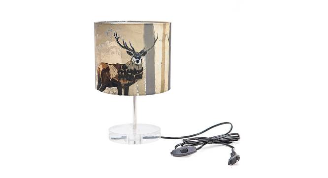 Rudy Multicolor Silk Shade Table Lamp With Transparent Acrylic Base by Urban Ladder - Front View Design 1 - 532771