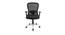Morpho Mesh Swivel Office Chair in Black Colour (Black) by Urban Ladder - Design 1 Full View - 532871