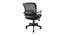 Cerise Mesh Swivel Ergonomic Office Chair in Black Colour (Black) by Urban Ladder - Design 1 Side View - 532905