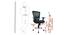 Jaunty Mesh Swivel Ergonomic Office Chair in Black Colour (Black) by Urban Ladder - Design 1 Dimension - 532924