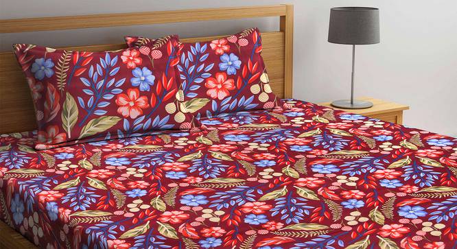 Raina Multicolor Floral 300 TC Polycotton King Bedsheet with 2 Pillow Covers (King Size) by Urban Ladder - Front View Design 1 - 533116