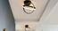 Orion Black Metal Ceiling Lights (Black) by Urban Ladder - Design 1 Side View - 534346